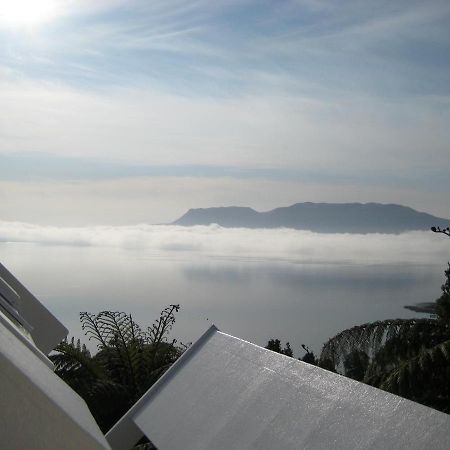 Hotel Te Whare -Lake Tarawera Tree-Top Nest Exterior foto