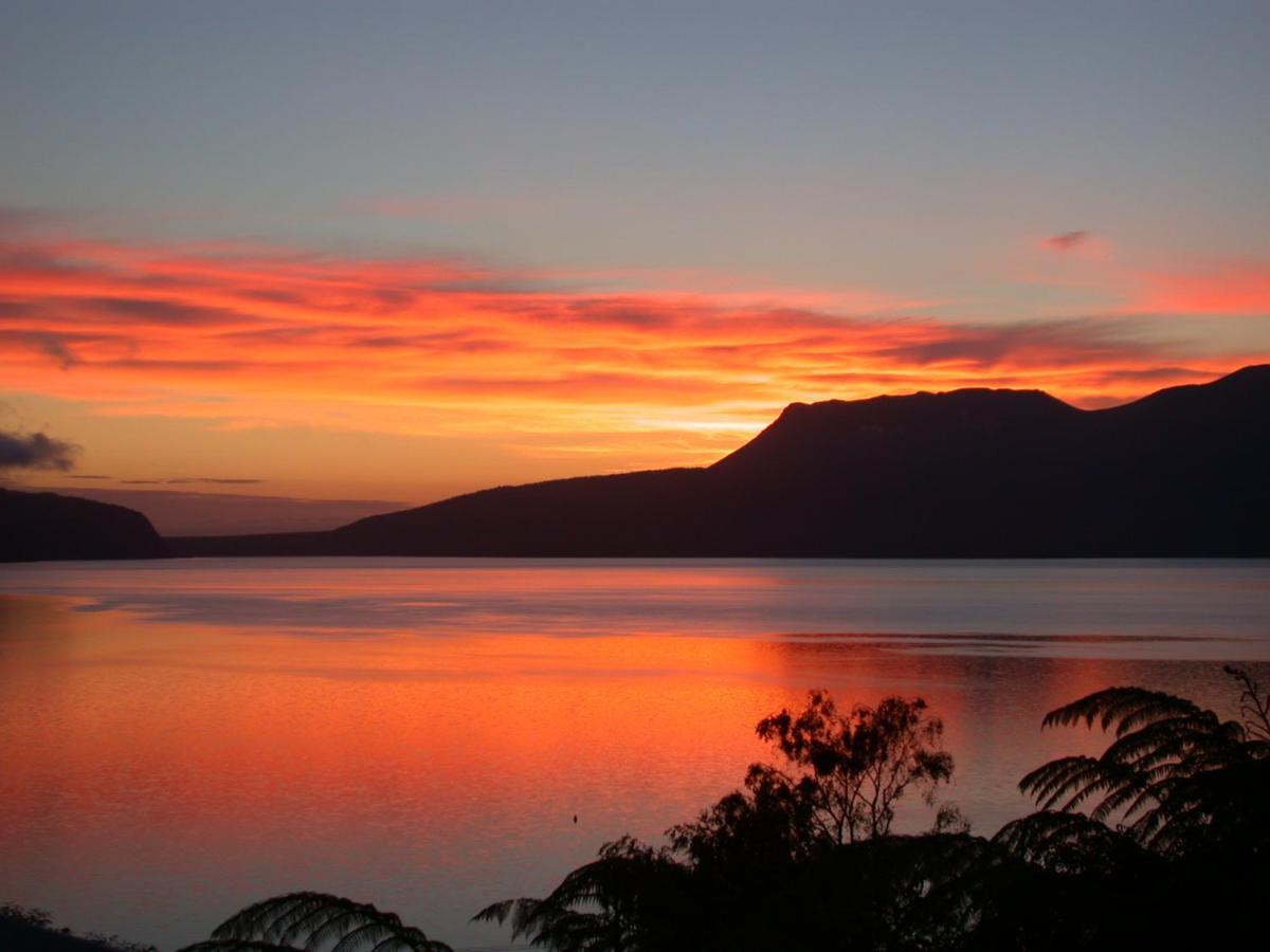 Te Whare -Lake Tarawera Tree-Top Nest Exterior foto